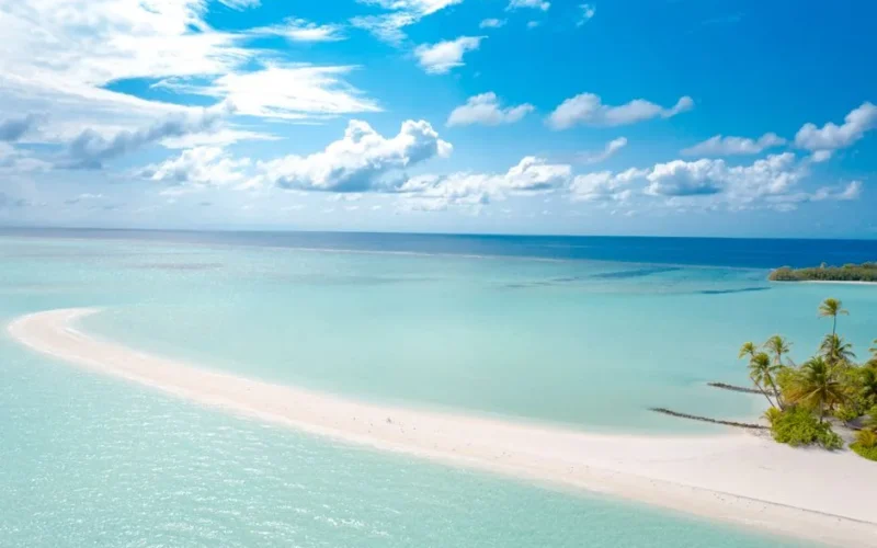 A serene aerial view of a pristine beach with azure waters and palm trees in the Maldives.
