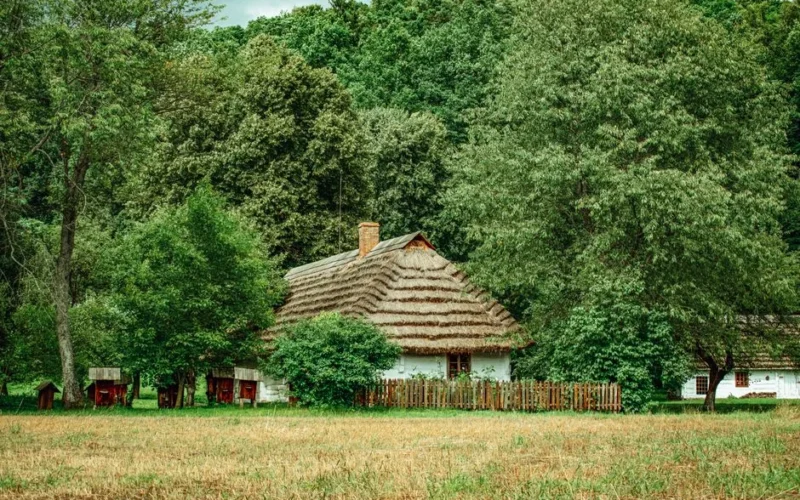 Traditional Polish cottage nestled among lush trees in a serene rural setting.