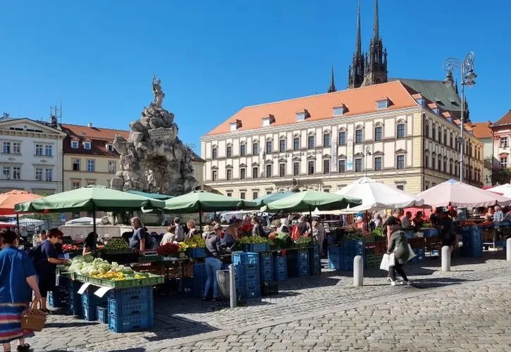 Bustling outdoor market at Zelny trh square in Brno, showcasing local produce and lively atmosphere.