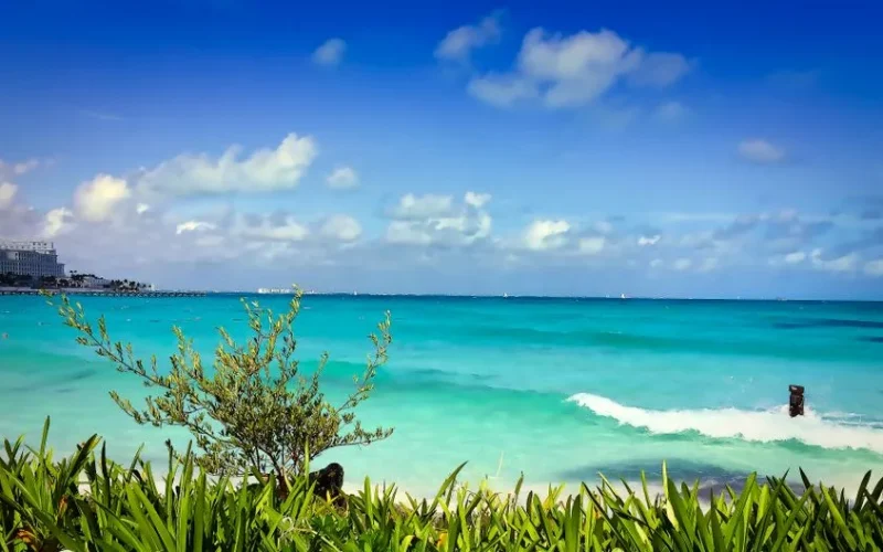 Vibrant beach with turquoise waters and green foliage in Cancun, Mexico, under a clear blue sky.