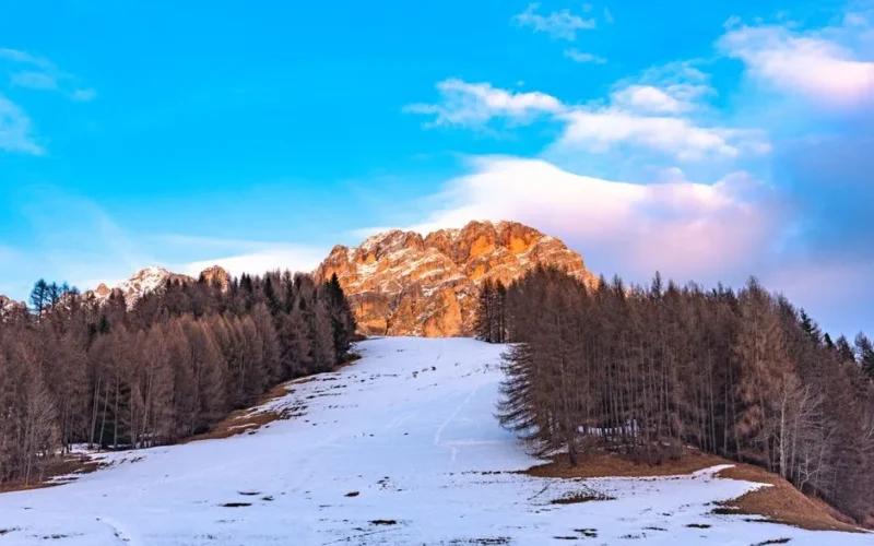 Scenic view of snow-covered trees and mountains in Cortina d'Ampezzo, Italy.