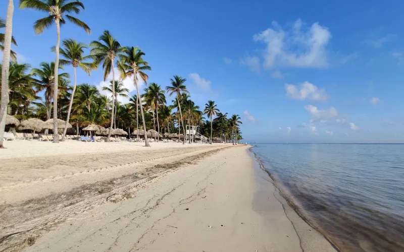 strony, karaiby, kokosowe, wakacje, plaża, zrelaksować się, palmy, morze, lato, natura, raj, ocean, tropikalne, niebo, krajobraz, hotel, republika dominikany, punta cana, bavaro beach