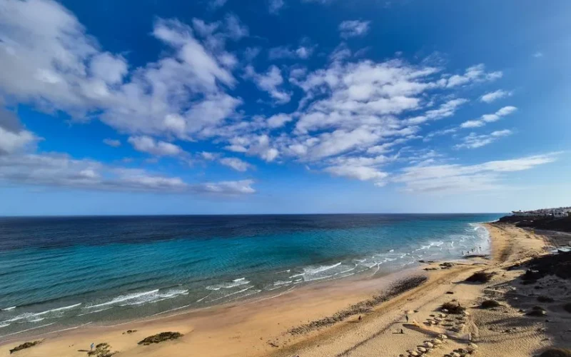 Explore a pristine beach in Fuerteventura with crystal-clear waters beneath a bright blue sky.