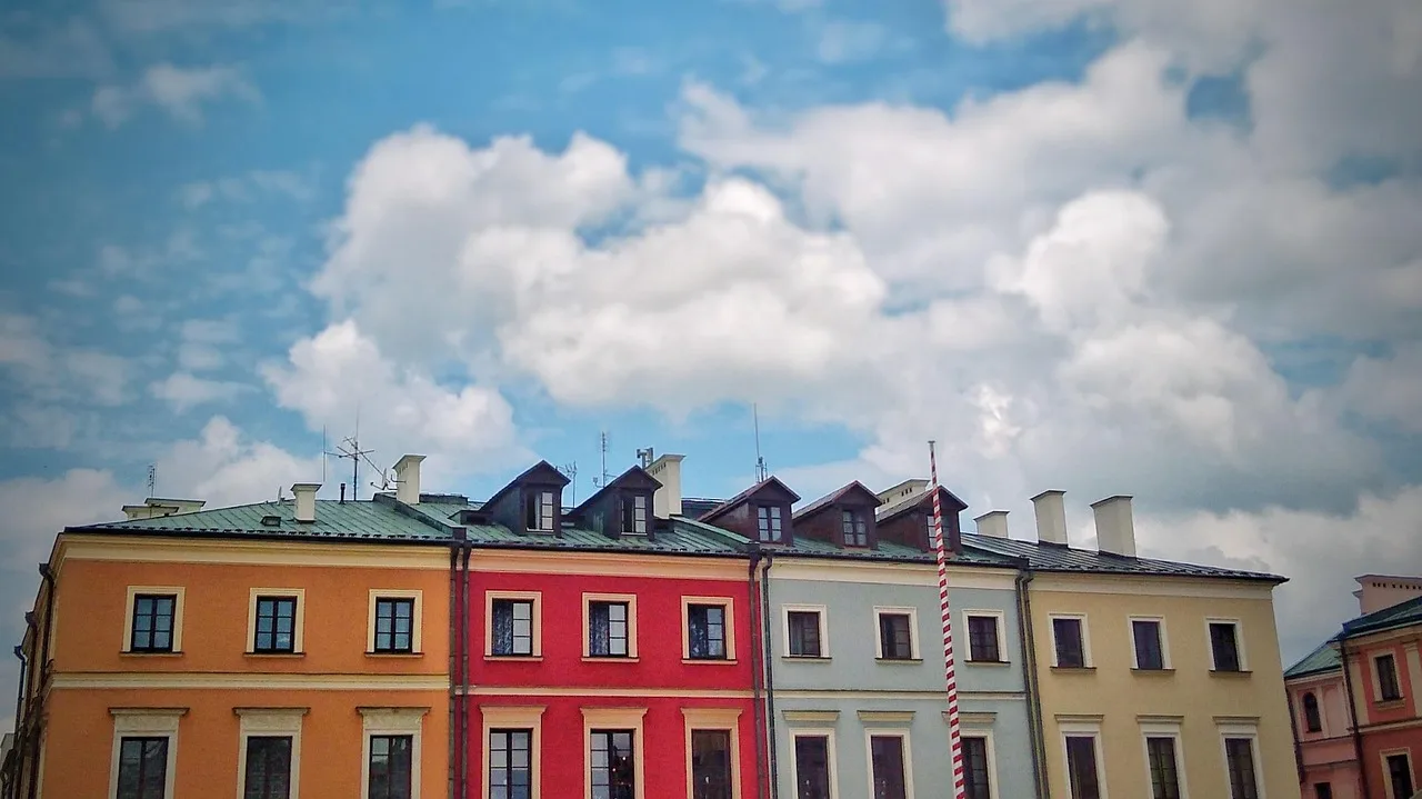 miasto, natura, europejski, zamość, niebo
