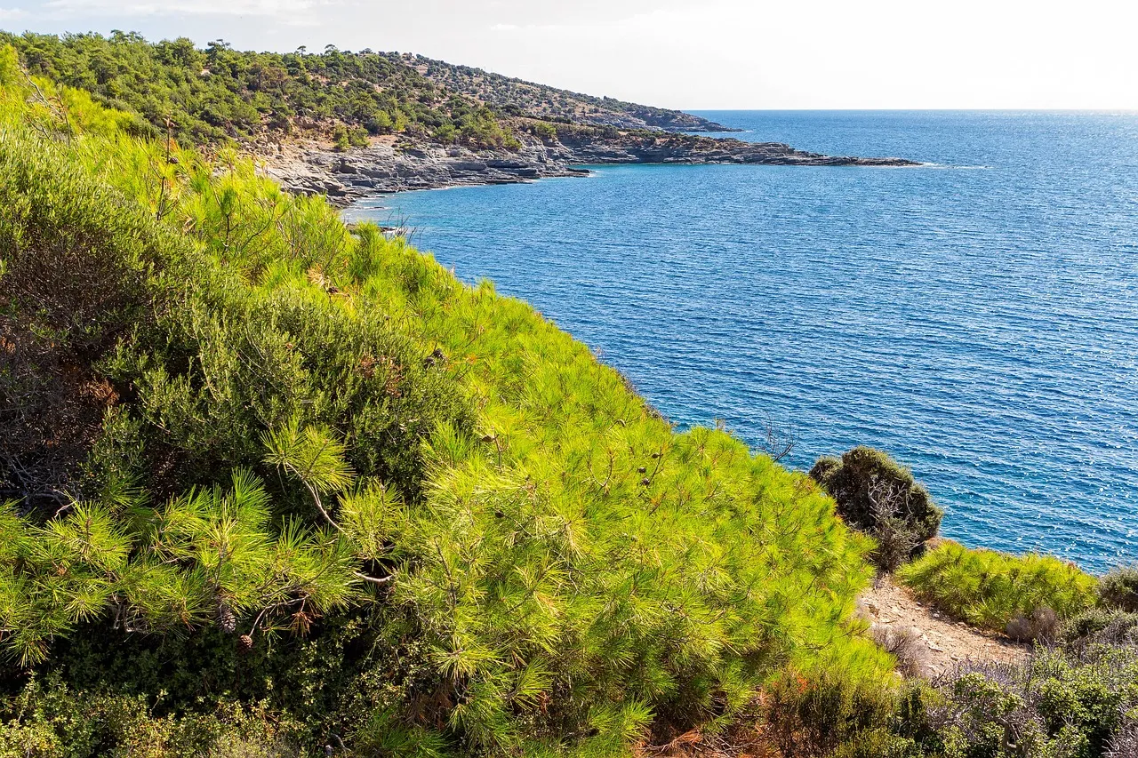 Thassos Co Zobaczyć - 15 Najlepszych Atrakcji i Plaż w 2026