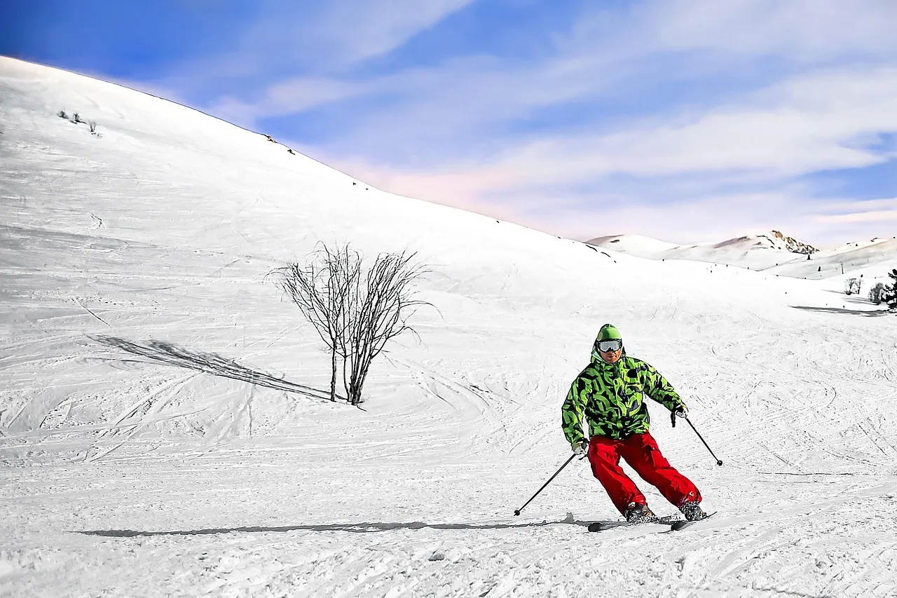 ski, natura, zima, śnieg, narciarz, krajobraz, sport, góra, frost, przeziębienie