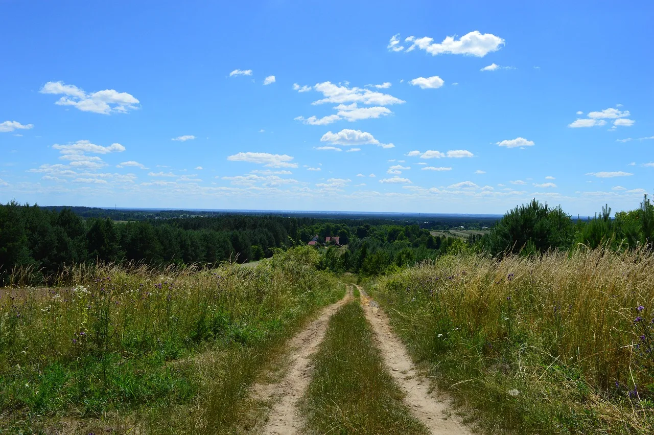 roztocze, majdan nepryski, borowina, krajobraz, zielony, lato, natura, piękno, nastrój, roztocze, roztocze, roztocze, roztocze, roztocze