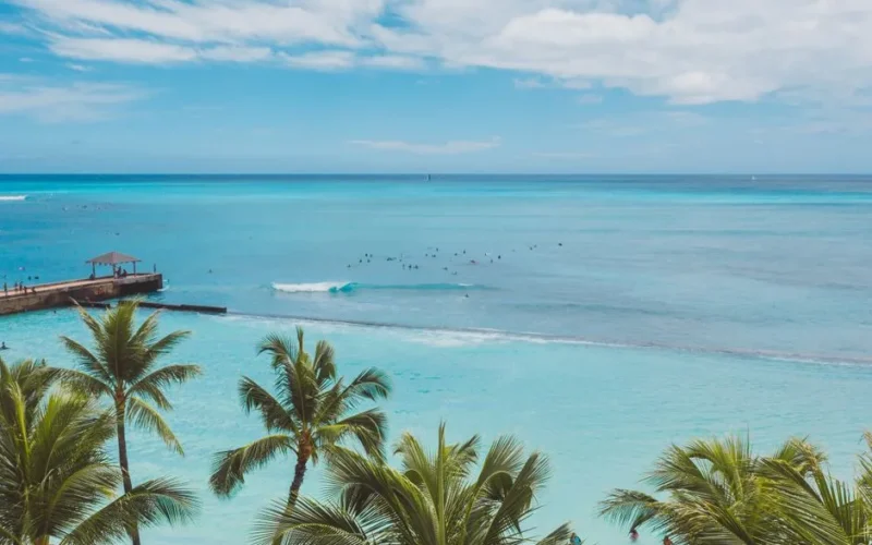 Serene view of a tropical beach with palm trees and crystal-clear ocean under a bright sky.