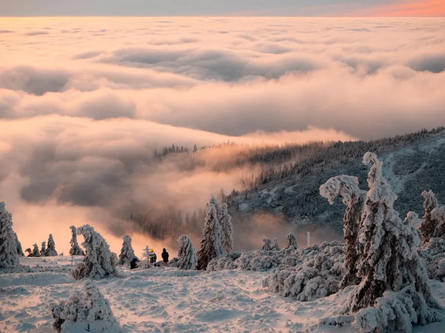 Harrachov Skipass Ceny 2026 - Kompletny Przewodnik Oszczędności