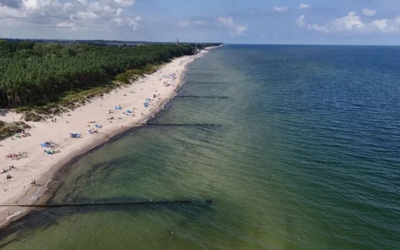 Stunning aerial view of a beautiful beach with lush green forest and calm blue ocean.