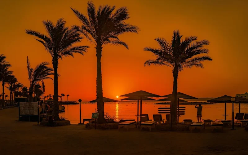 zachód słońca, palmy, plaża, afryka, egipt, piasek, hurghada, morze czerwone, natura, woda, morze, lato, turystyka, podróż, leżak
