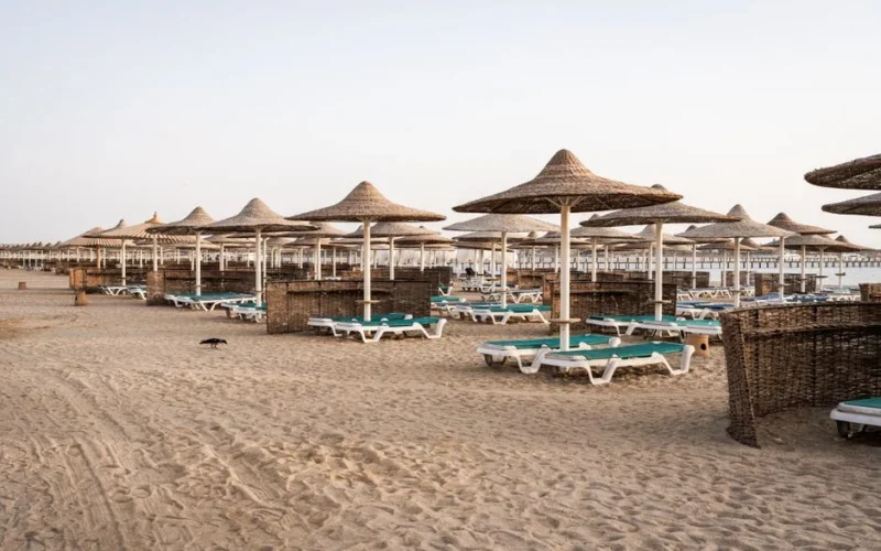 A serene view of straw sun umbrellas on the sandy beach of Hurghada, Egypt.