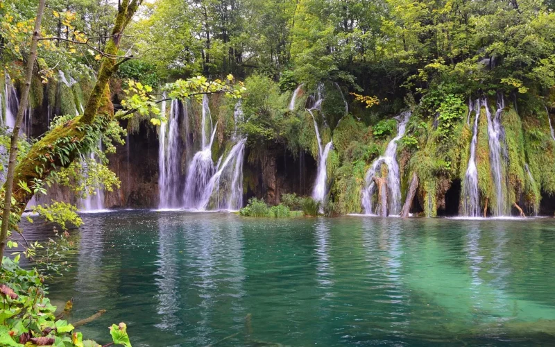 plitvice, park narodowy, wodospad, chorwacja, wody, las, natura, plitvice, chorwacja, chorwacja, chorwacja, chorwacja, chorwacja