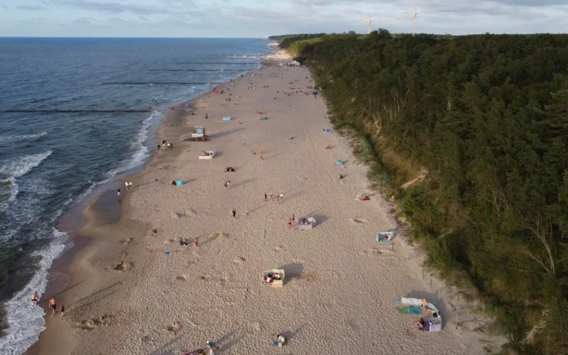 A stunning aerial view of a sandy beach along the Baltic Sea, bordered by lush forests.