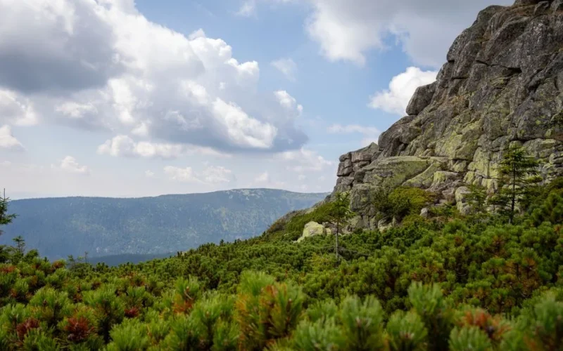 Breathtaking view of lush greenery and rocky formations in Szklarska Poręba, Poland.