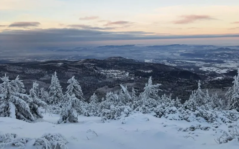 Breathtaking winter view of snow-covered trees and landscape from Karpacz, Poland at sunset.