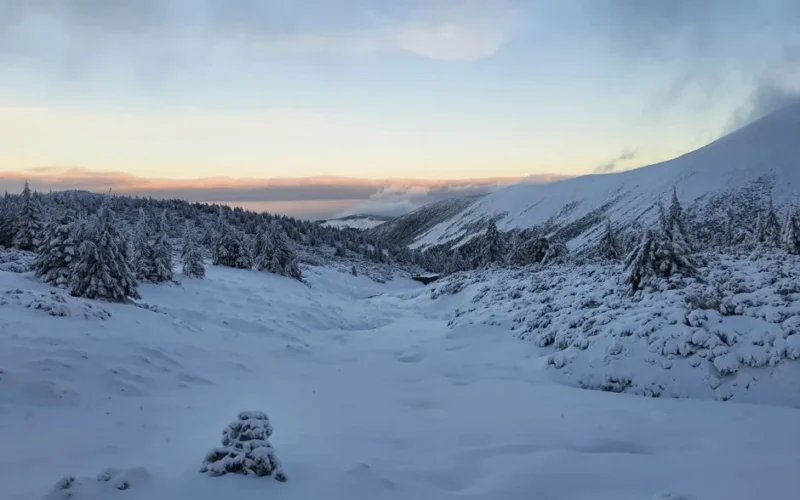 A breathtaking snowy landscape at sunrise in Karpacz, Poland, showcasing frosty pine trees and distant mountains.
