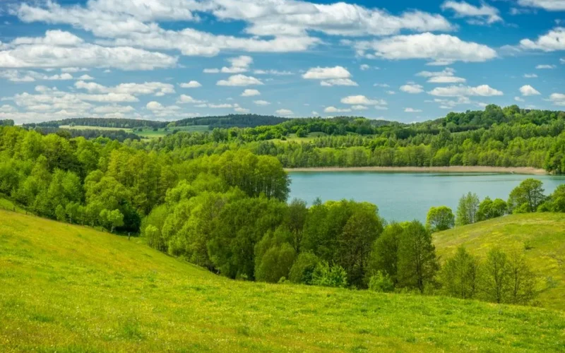 A picturesque view of rolling green hills and a lake in Podlasie, Poland, under a clear blue sky.