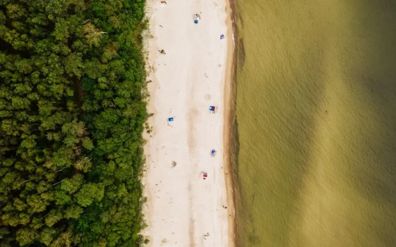 Drone shot capturing the serene beach and lush forest of Łukęcin, Poland. Perfect summer getaway.