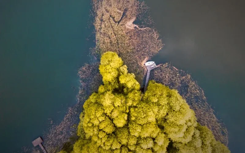 Captivating aerial shot of a Polish lakeside forest with vibrant greenery and serene water views.