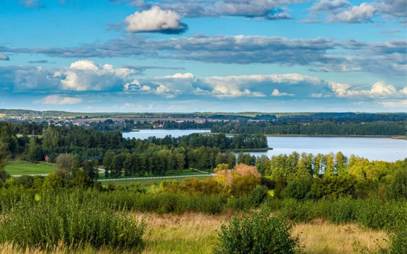 Picturesque view of the lake and lush greenery in Łężeczki, Poland.
