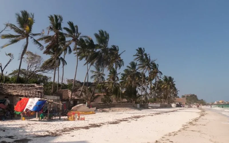 A serene beach with palm trees and bright skies in Mombasa, Kenya.