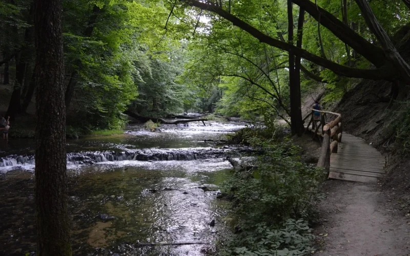 tanew, szumy, natura, roztocze, rzeka, woda, poland, wodospad