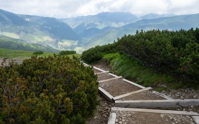 A breathtaking view of a mountain trail in the Tatra Mountains, framed by lush greenery and summer skies.