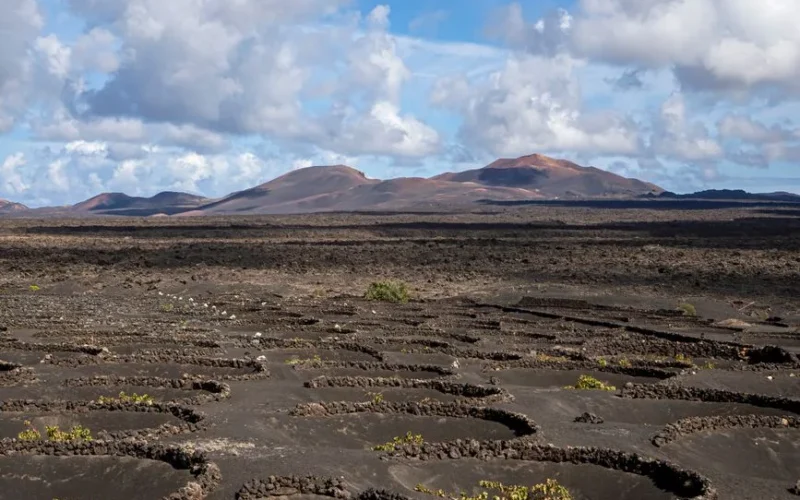 A stunning aerial view of volcanic vineyards in Lanzarote, Spain, showcasing unique agricultural techniques.