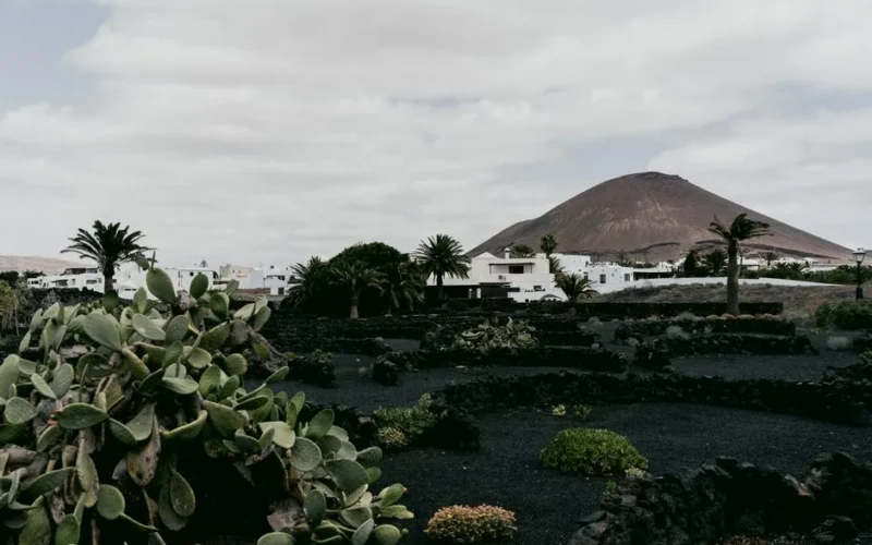 Picturesque village in Lanzarote with volcanic landscape and lush plants under a cloudy sky.