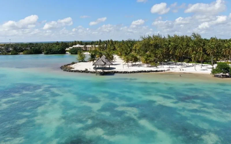 Aerial view of a tropical beach with turquoise waters, white sand, and palm trees.