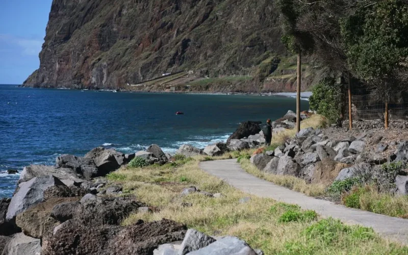 Explore the rugged beauty of Madeira's coastline with a scenic view of cliffs and ocean.