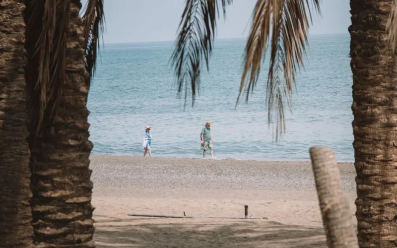 A couple strolls along a tranquil beach in Málaga surrounded by palm trees.
