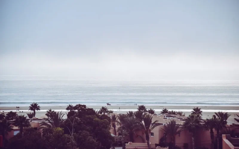 Beautiful view of Imi Ouaddar beach with calm ocean waves and palm trees, perfect for a travel destination.