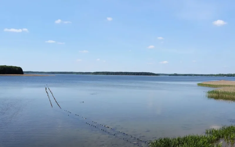 landscape, mazury, łaśmiady lake, ełk, lyck, mazury, mazury, mazury, mazury, mazury, ełk