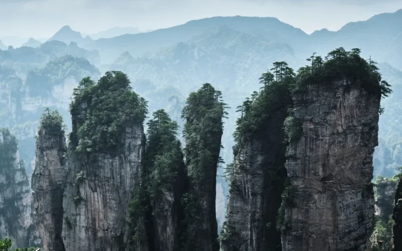 Explore the stunning natural beauty of Zhangjiajie's towering sandstone pillars.