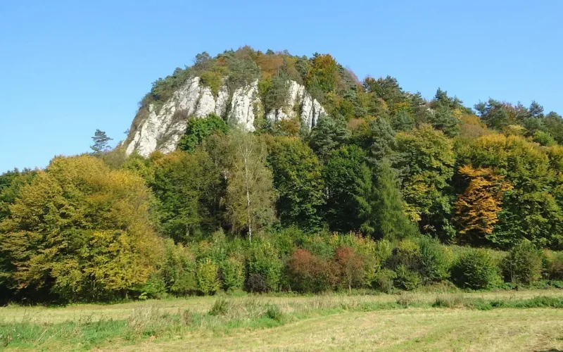 ojców, polska, krajobraz, skała, park narodowy, ojców, ojców, ojców, ojców, ojców