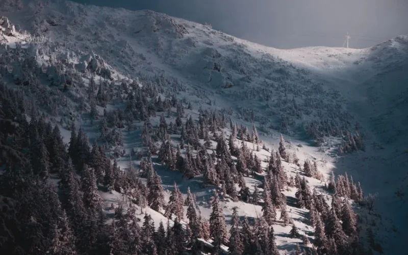Breathtaking winter scene of snow-covered mountains and forest in Pec pod Sněžkou, Czechia.