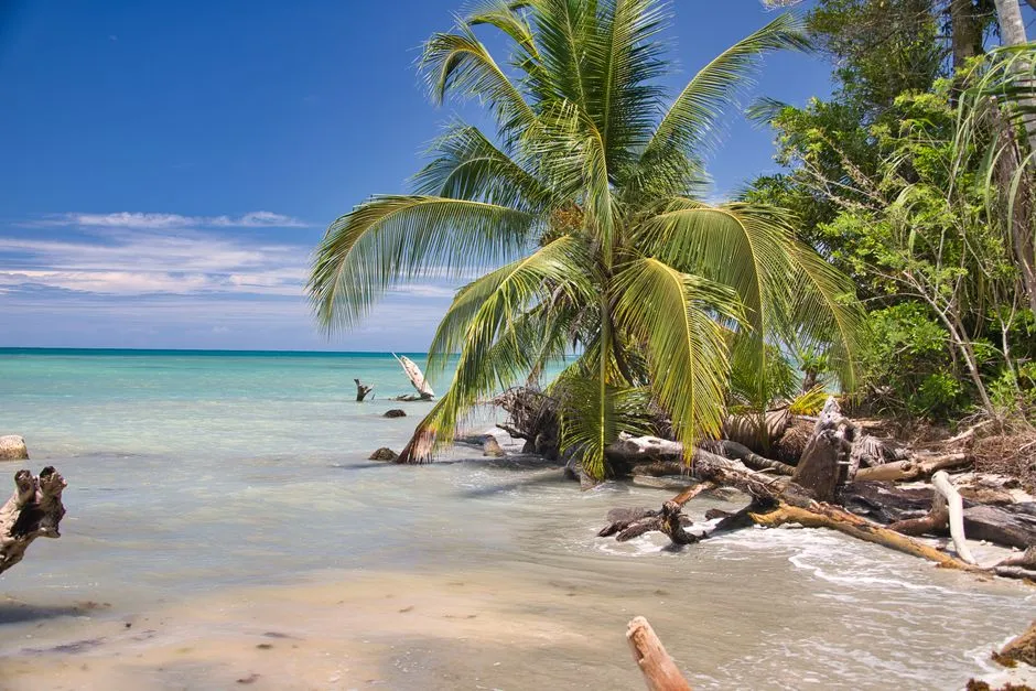 Zanzibar Czy Dominikana Co Wybrać - Kompletne Porównanie 2026