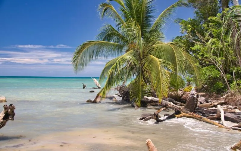 Punta Cana Atrakcje - 10 Najlepszych Miejsc, Które Musisz Zobaczyć