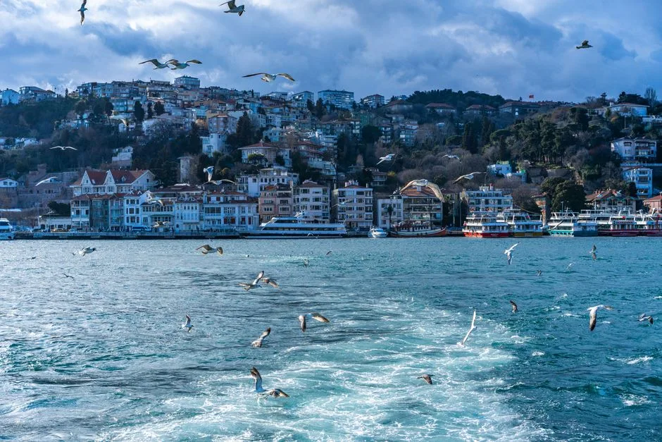 Picturesque view of Istanbul coastline with seagulls flying over the Bosphorus.