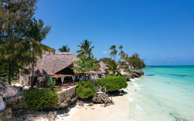 Zanzibar Przewodnik 2026: 10 Najlepszych Atrakcji i Praktycznych Porad