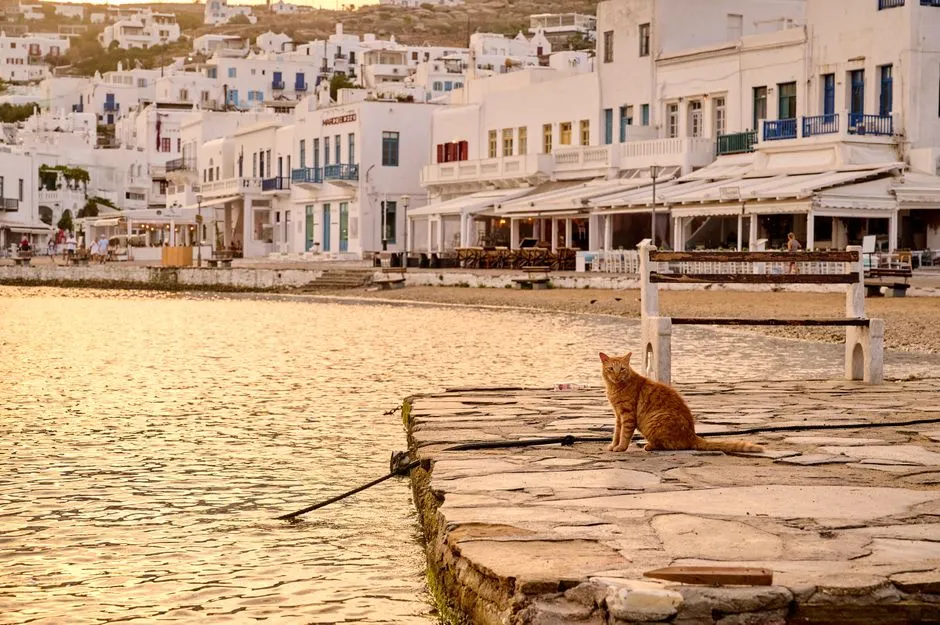 Mykonos Czy Warto Jechać? 7 Powodów Dla Których Się Zakochasz
