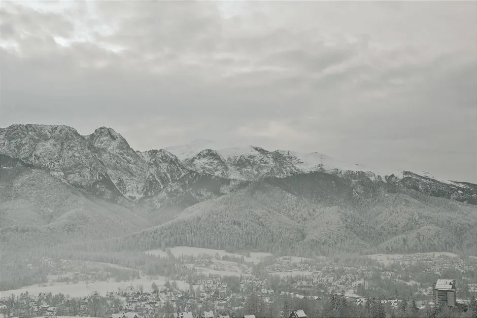 Zakopane Wakacje 2026 - Kompletny Przewodnik Po Najlepszych Ofertach