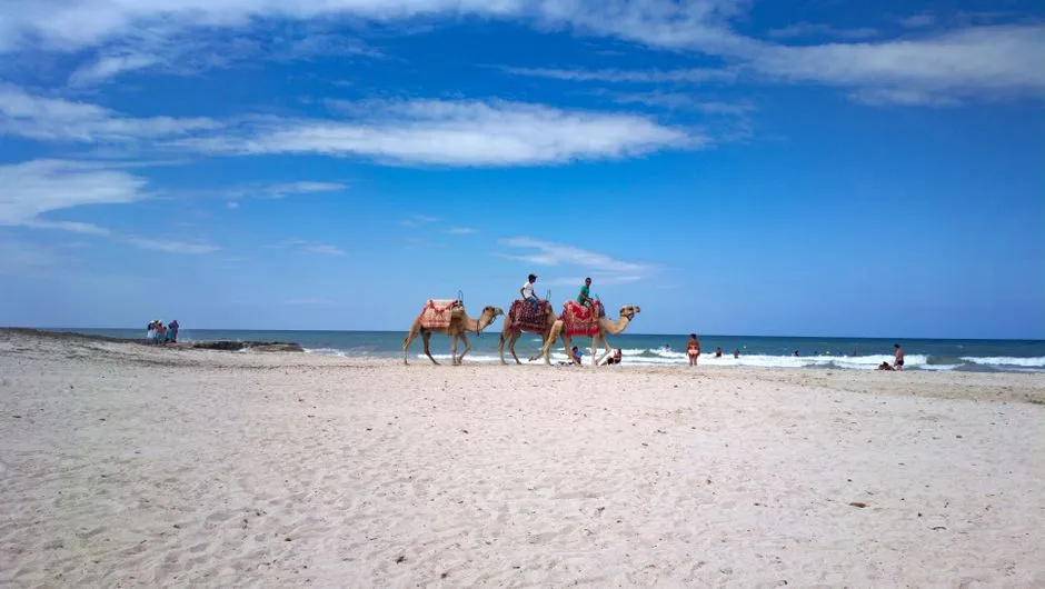 Djerba Co Warto Zobaczyć - Kompletny Przewodnik Po Atrakcjach