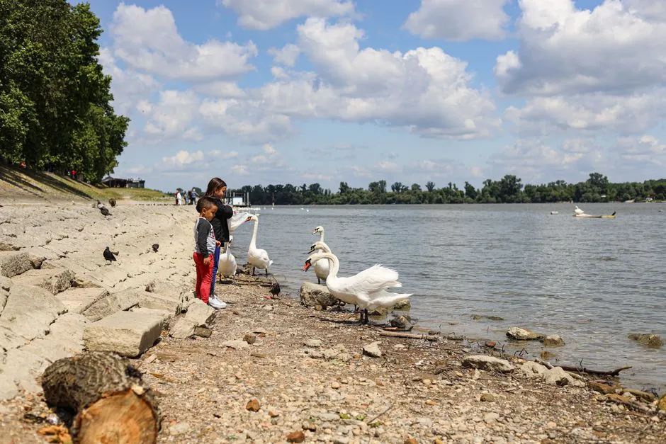 Mazury atrakcje dla dzieci - 15 Najlepszych Miejsc na Rodzinny Wypoczynek