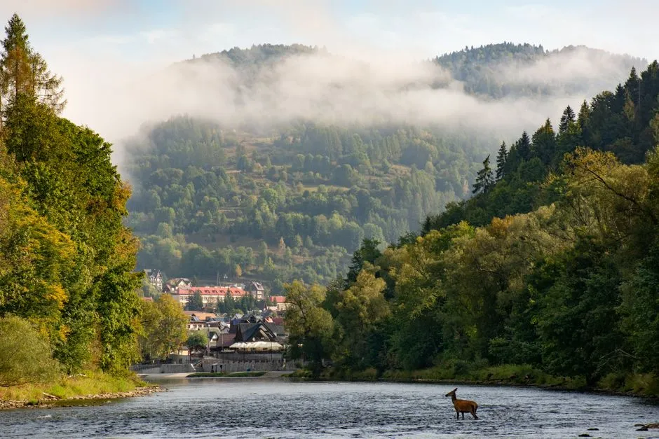 Szczawnica Wakacje 2026-7 Pomysłów Na Idealny Wypoczynek