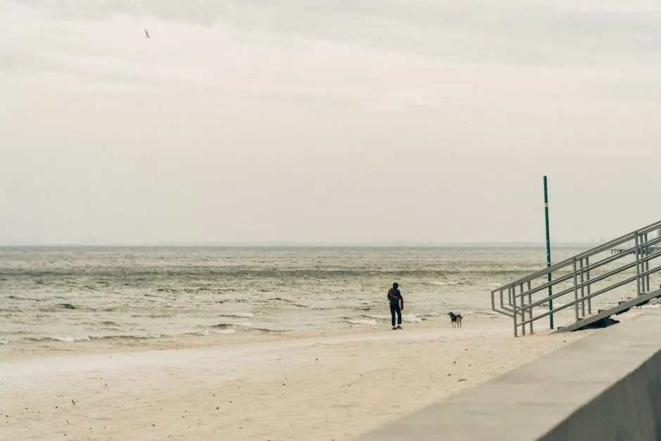 Pies na plaży 2026: 10 psiakceptujących miejsc i poradnik