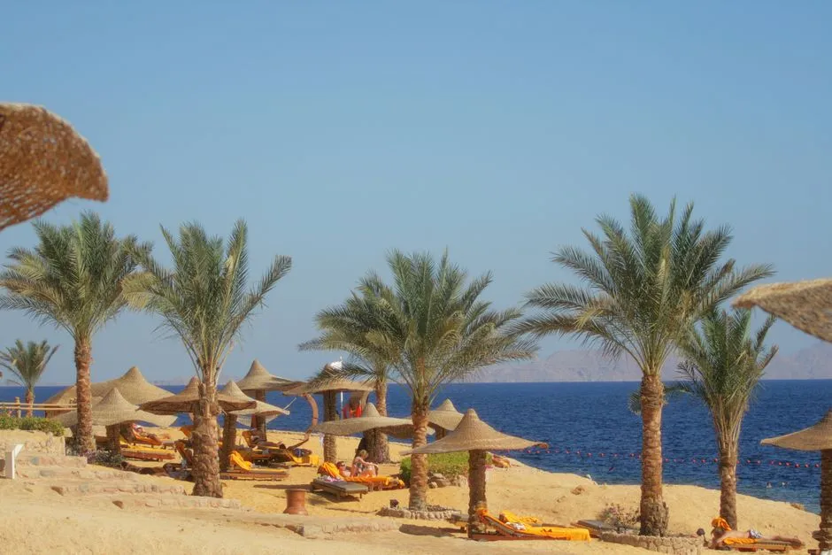 Hurghada Opinie 2026 - Czy Warto? Kompletny Przewodnik i Porady