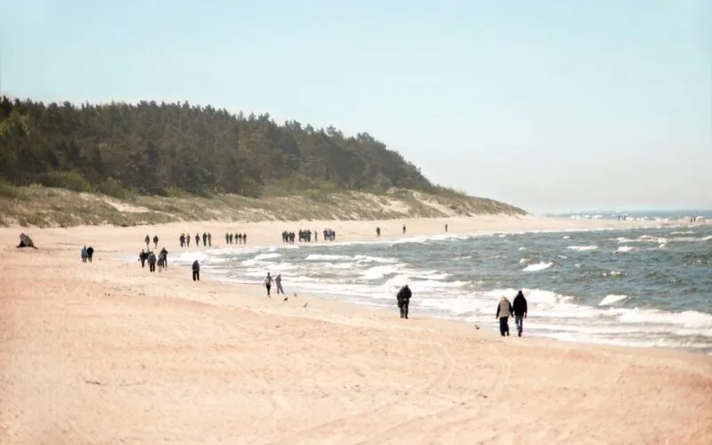 Dębki Plaże - Kompletny Przewodnik Po Najlepszych Odcinkach